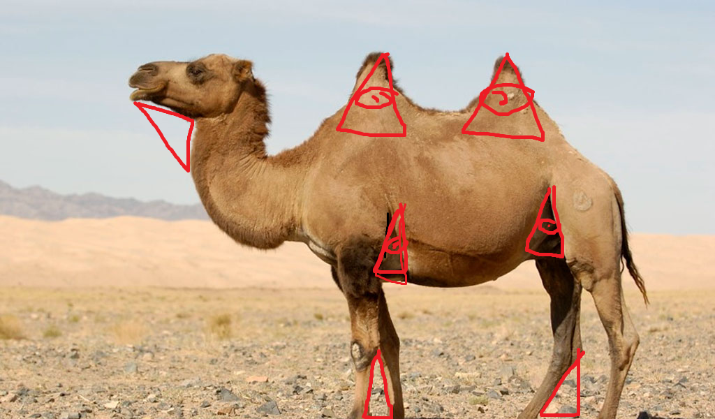 camels/secrets.png